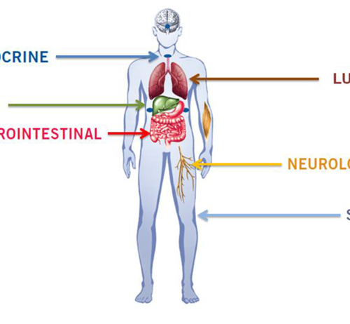 Gastrointestinal System